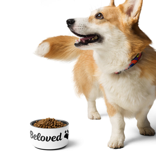 Beloved Pet Bowl (White, 18 oz.)